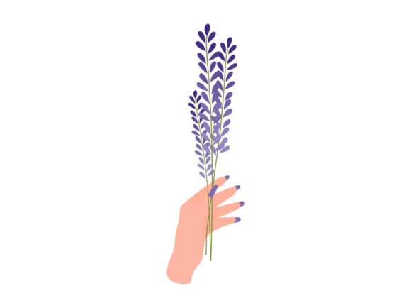 Download Hand Bunch Lavender Violet Flowers Plant - Violet flowers Collection