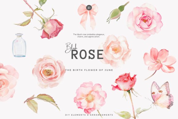 Download Watercolor Clipart Birth Month Flower - Premium Resources