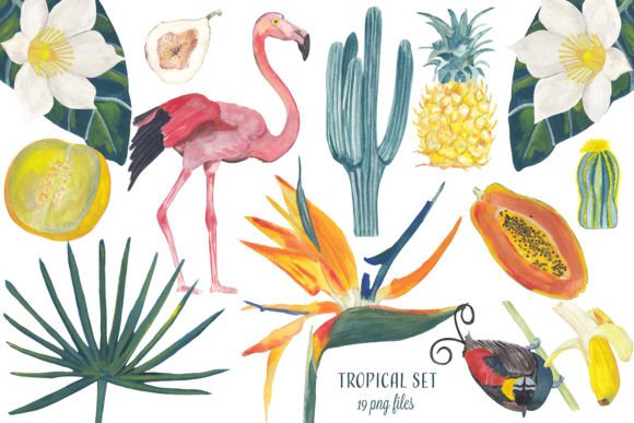 Download Tropical Hand Painted Clipart Gouache - Tropical Collection