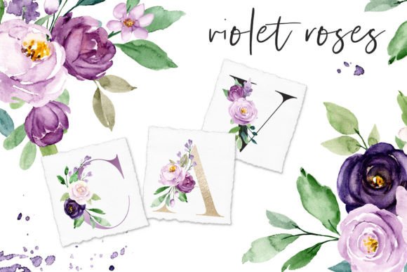 Download Watercolor Violet Flowers Roses - Violet flowers Collection