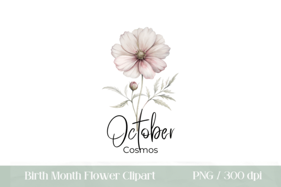 Download Birth Month Flower October Cosmos PNG - Birth month flower Collection