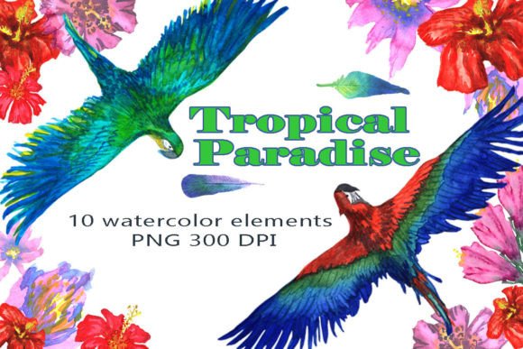 Download Tropical Paradise Watercolor Clipart - Tropical Collection
